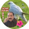 muhammadarif4701