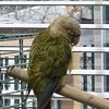ilovebirds213