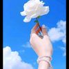sinha.akther003