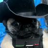 edgar_danixd