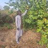 user154071034490