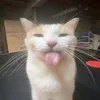 coolesguyever
