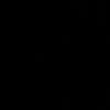 nourbdyr