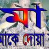 mohin.uddin7694