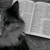 leva_orthodox