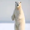 Urso Polar