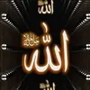 user8800525946905