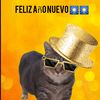 dylanfachero6