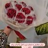 jan.atiq4