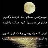 user6682081947550