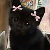 meowwster_