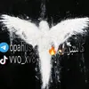 vvo_xv8