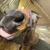 equi_clara1