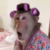 puttanenllooo
