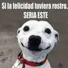 pasabe8