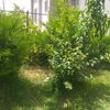 user22953268192026