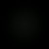 romer09_