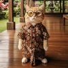 beautifulcats202