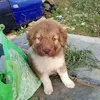 vincenzo.la.nigra8