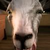 thegoatfromgoatsim