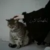marwai_313