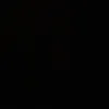 .arriia_d