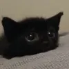 𝙖𝙛𝙧𝙖𝙞𝙙 𝙤𝙛 𝙡𝙤𝙫𝙚