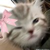 videosrandom.......05