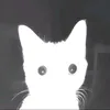 why_not_paul