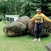 user24520283036011