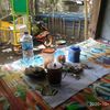 hoerudinhaer889