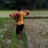 ilmi.p