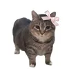 bunny_h20