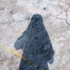 salwa.awana_