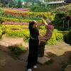 maeerene