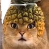 baldboldbalds