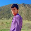 waqifarmani0