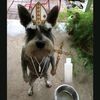 mexican_catholic14