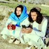 rasool.salamm3