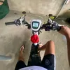 nhungocccuttis1