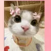 jenny.moya273