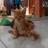 _vincent144