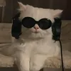 catmagic385