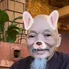 thach.sung_