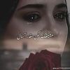 user4481846148031