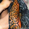 dija_henna_88772226