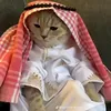 itzzmeayunan