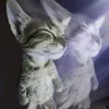 soulhmu24