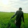 immalik000