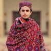 meer.zaffar.ali.110